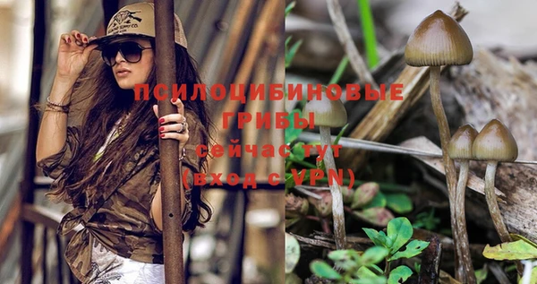 прущая мука Покровск