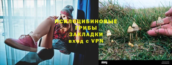 прущие крисы Покров