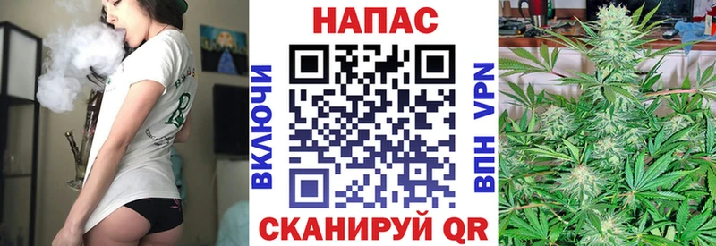 Шишки марихуана MAZAR Пустошка